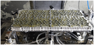 首页-BG视讯厅真人官方网站