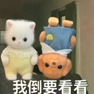 首页-BG视讯厅真人官方网站