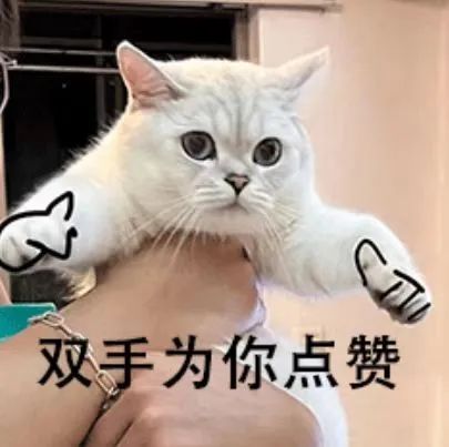 首页-BG视讯厅真人官方网站