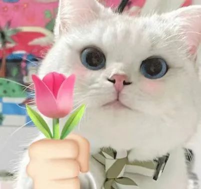 首页-BG视讯厅真人官方网站