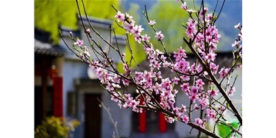 阳春三月，BG视讯精机一大波展会即将来袭，您筹备好了吗？